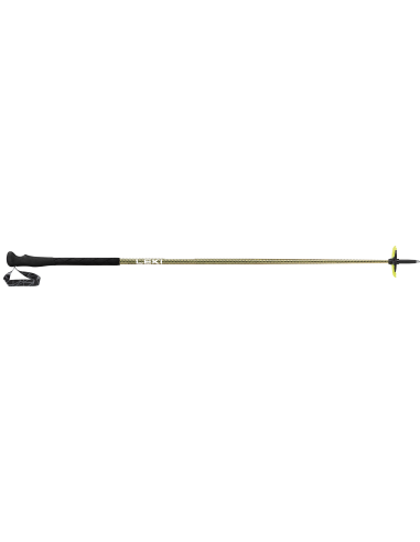 Ski poles Leki Guide Lite One Carbon | Leki Poles