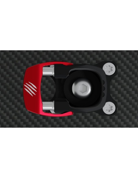 Fijación de esquí Grizzly Ski Olympic II