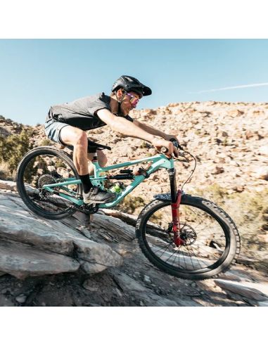 Gafas PitViper The Donatello (The...