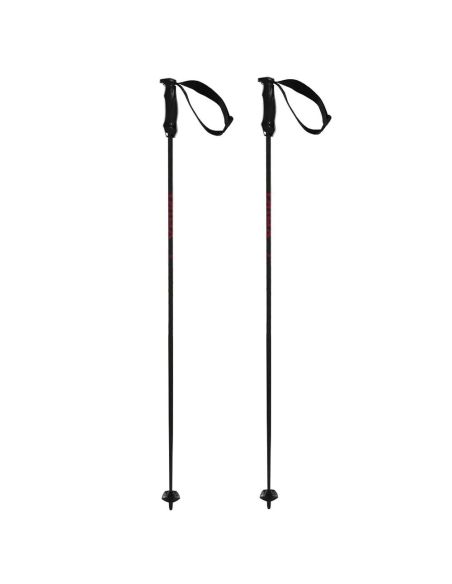 RENTASTICK CARBON POLES colour coded